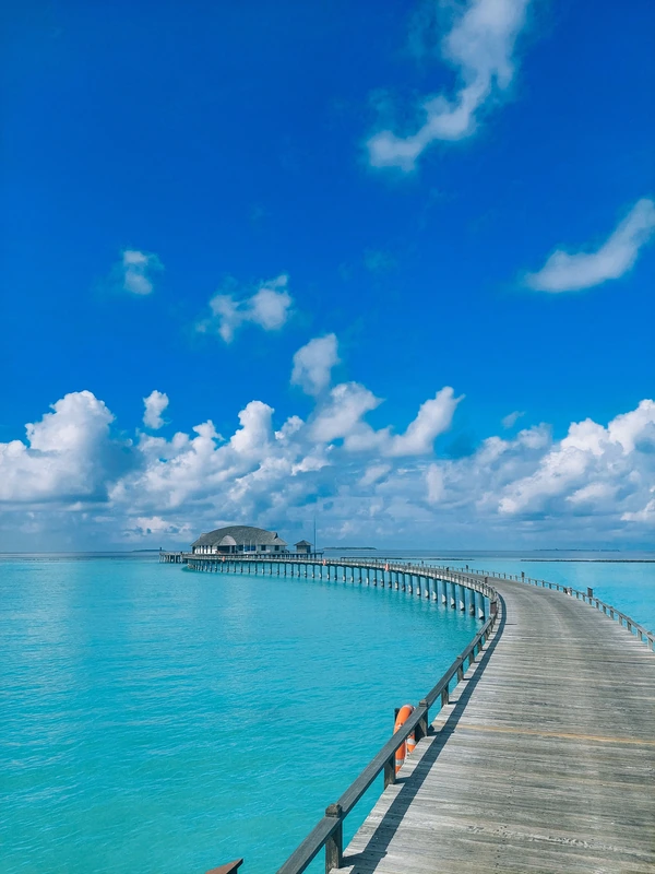 The Maldives